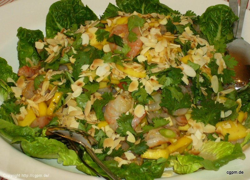 Garnelen-Mango-Salat