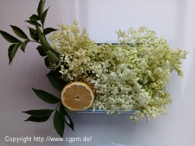 Holunderblüten