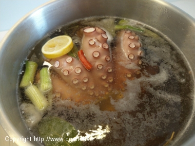 Oktopus in der PET-Flasche